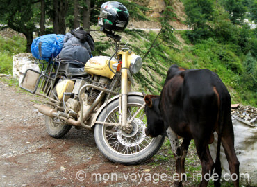 découverte de l'Inde du sud en moto